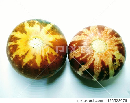A picture of callosus melon isolated on a white background 123528076