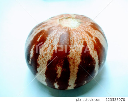 A picture of callosus melon isolated on a white background A picture of callosus melon isolated on a white background 123528078