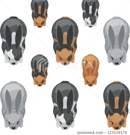 Colorful Rabbits in a Patterned Formation 123528178