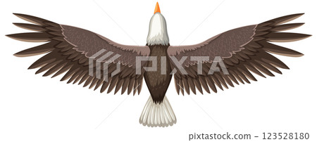 Majestic Eagle Soaring in Flight 123528180