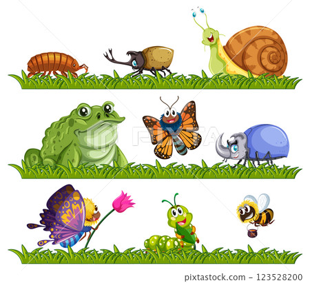 Colorful Insects and Amphibians in Nature 123528200