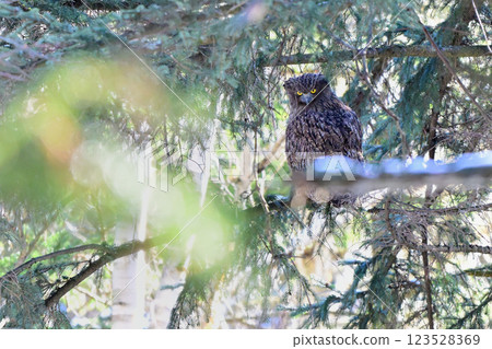 The god of the forest 123528369