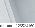 White cement wall geometric architecture detail background  123528460