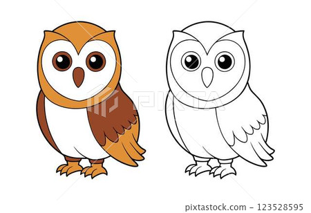 grey owl on white background 123528595