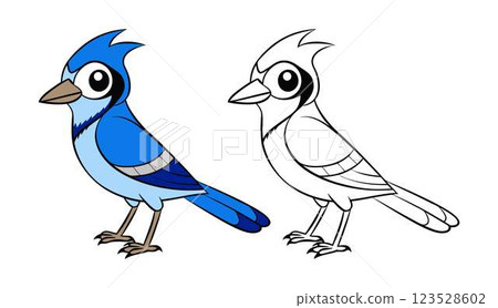 vector cartoon bird isolated on white background 123528602