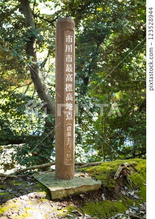 Highest elevation point in Ichikawa City, Chiba Prefecture 123528944