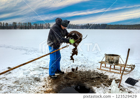 Through ice hole, farmer harvests unconsolidated sludge sapropel with pole mounted basket organic matter goes into tank, sled carries it for organic farming. 123529429