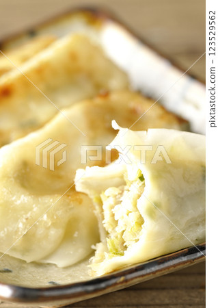 Single shot of gyoza Single shot of gyoza 123529562