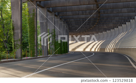 curved road under concrete bridge with sunlight shadows, urban tunnel with green ivy on pillars, modern architecture and nature, empty road with perspective curved road under concrete bridge with sunlight shadows, urban tunnel with green ivy on pillars, modern architecture and nature, empty road with perspective 123529818