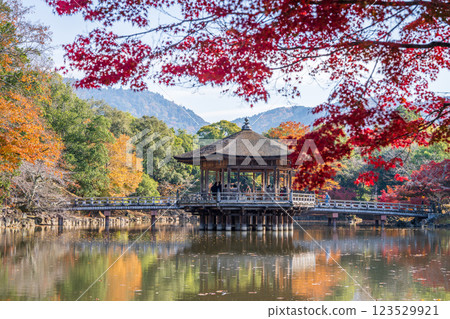 [Autumn leaves] Ukimido Hall in Nara Park in autumn 123529921