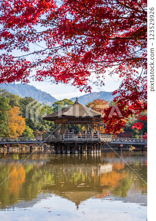 [Autumn leaves] Ukimido Hall in Nara Park in autumn 123529926