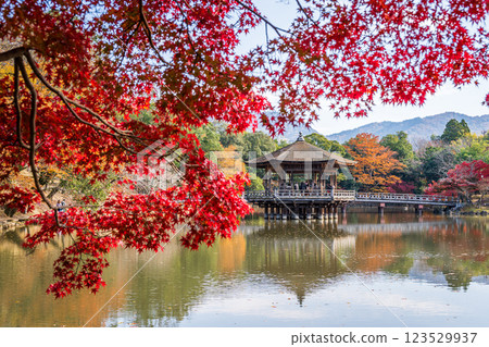 [Autumn leaves] Ukimido Hall in Nara Park in autumn 123529937