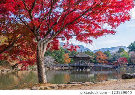 [Autumn leaves] Ukimido Hall in Nara Park in autumn 123529940