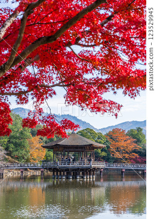 [紅葉] 秋季的奈良公園浮見堂 123529945