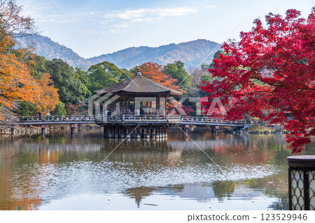 [紅葉] 秋季的奈良公園浮見堂 123529946
