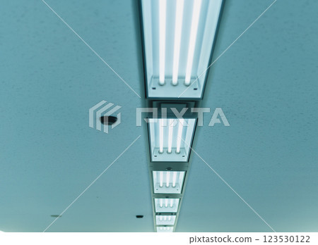 Ceiling-mounted fluorescent lights 123530122