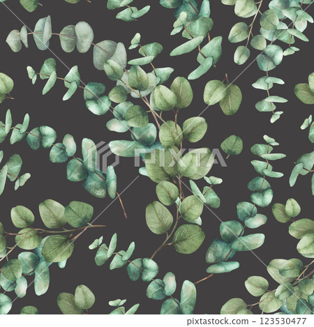 Eucalyptus plant bouquet seamless pattern. Watercolor Green silver dollar eucalypti tree branches with round leaves hand drawn botanical illustration for fabric, wallpaper on isolated dark background Eucalyptus plant bouquet seamless pattern. Watercolor Green silver dollar eucalypti tree branches with round leaves hand drawn botanical illustration for fabric, wallpaper on isolated dark background 123530477