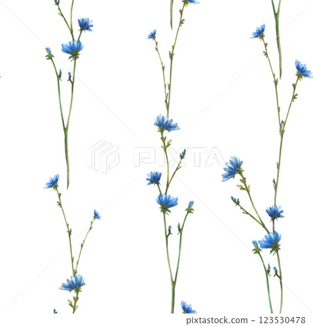Blue Chicory wildflower. Field plant with flowers and buds seamless pattern. Watercolor Cornflower hand drawn illustration. Botanical realistic clipart for fabric, wallpaper. Isolated from background Blue Chicory wildflower. Field plant with flowers and buds seamless pattern. Watercolor Cornflower hand drawn illustration. Botanical realistic clipart for fabric, wallpaper. Isolated from background 123530478
