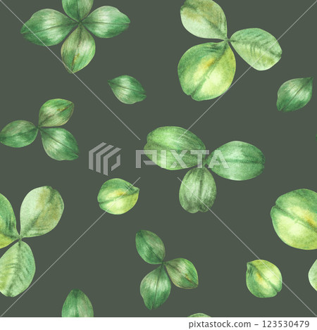 Clover green leaves. Watercolor seamless pattern. Botanical hand drawn realistic illustration. Wildflowers leaf, floral good luck, St Patricks Day fabric, wallpaper, print on isolated dark background Clover green leaves. Watercolor seamless pattern. Botanical hand drawn realistic illustration. Wildflowers leaf, floral good luck, St Patricks Day fabric, wallpaper, print on isolated dark background 123530479