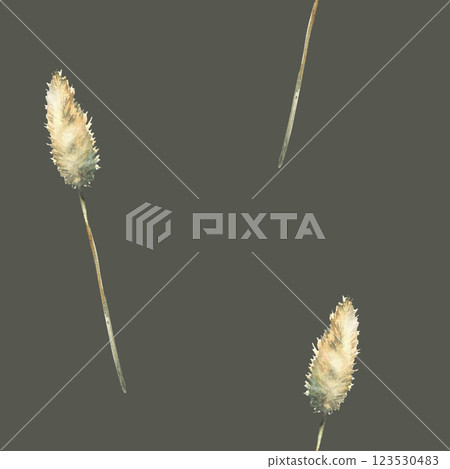 Pampas grass. Dry blade of grass. Floral cream coloured seamless pattern. Watercolor hand painted illustration. Botanical herbal boho style fabric, wallpaper, wrapping. On isolated dark background  123530483
