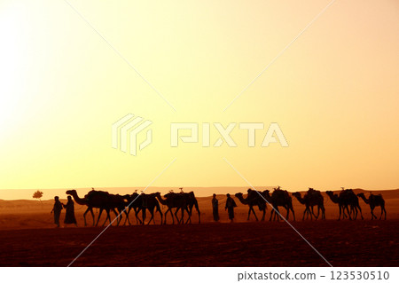 Horizontal banner with caravan of camels in Sahara desert, Morocco. Driver-berber with camels dromedary on sunrise sky background and traditional moroccan houses 123530510