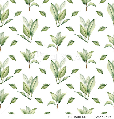 Seamless pattern with watercolor green tea leaves and branches on a white. Foliate repeated background of leaves citrus, orange, grapefruits. Plants texture for organic packaging, textile. Seamless pattern with watercolor green tea leaves and branches on a white. Foliate repeated background of leaves citrus, orange, grapefruits. Plants texture for organic packaging, textile. 123530646