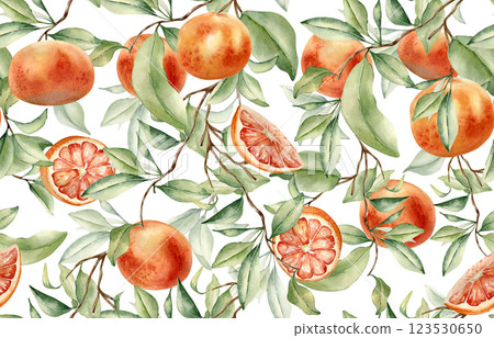 Grapefruits cluster on branches seamless pattern isolated on white. Watercolor citrus fruit trees on repeated texture. Hand drawn sprigs and red oranges in botanical background for textile, package. Grapefruits cluster on branches seamless pattern isolated on white. Watercolor citrus fruit trees on repeated texture. Hand drawn sprigs and red oranges in botanical background for textile, package. 123530650