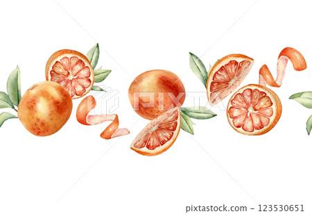 Grapefruits whole and half, orange peel swirl and leaves watercolor seamless border isolated on white. Summer juicy citrus fruits on repeated texture hand drawn with segments red oranges for textile. 123530651