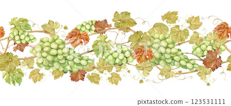 Seamless border of intertwined grape branches. Horizontal pattern of grapevine, green berries and foliage. Watercolor illustration in retro style. Clipart for wine label design in Art Nouveau style. Seamless border of intertwined grape branches. Horizontal pattern of grapevine, green berries and foliage. Watercolor illustration in retro style. Clipart for wine label design in Art Nouveau style. 123531111