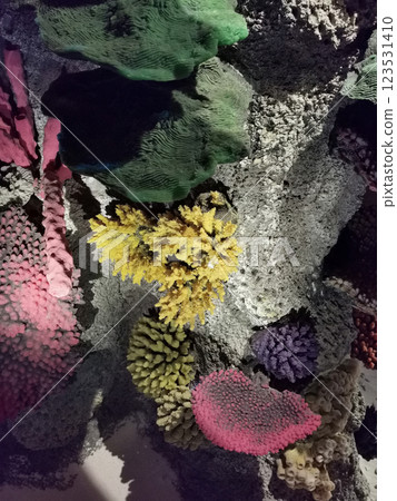 nice coral sea background 123531410