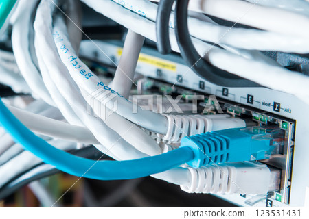 patch cables connected to data router patch cables connected to data router 123531431