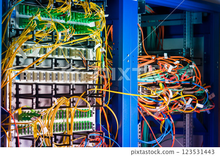 detail of server rack with fiber optic cables attached to front 123531443