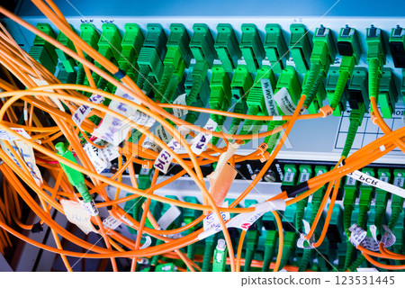 fiber optic cables connected into main data switch 123531445