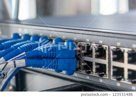 blue ethernet cables connected to switch 123531486