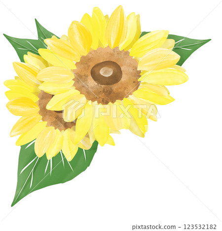 Overlapping sunflower frame watercolor illustration 123532182