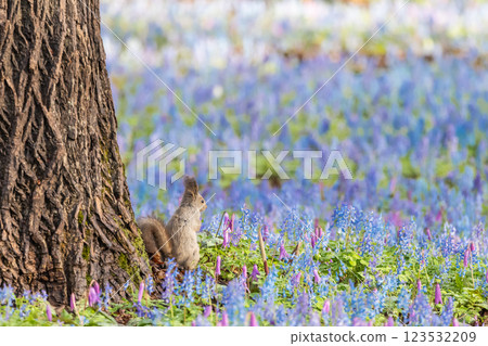 Scenery of Urausu Shrine in Hokkaido Scenery of Urausu Shrine in Hokkaido 123532209