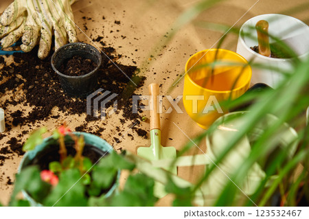 Home gardening with soil, pots, and tools for plant care 123532467