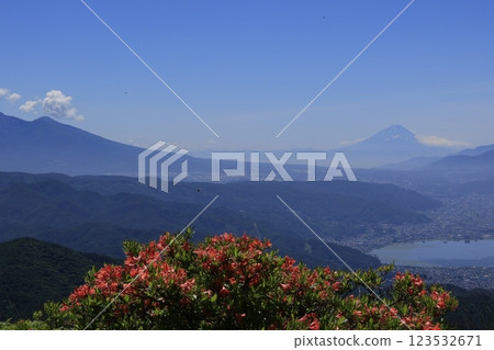 Panoramic view of Lake Suwa and Mt. Fuji from Takabocchi Plateau in early summer with Rengetsutsuji blooming 123532671