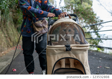 Going out in a pet cart Going out in a pet cart 123532808