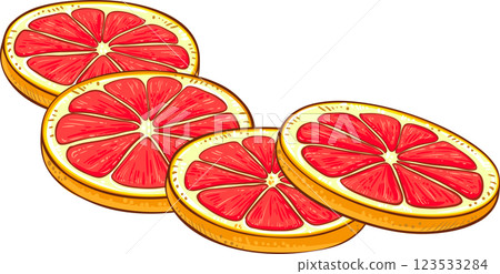 Grapefruit Fruit  Colored Detailed Illustration. 123533284