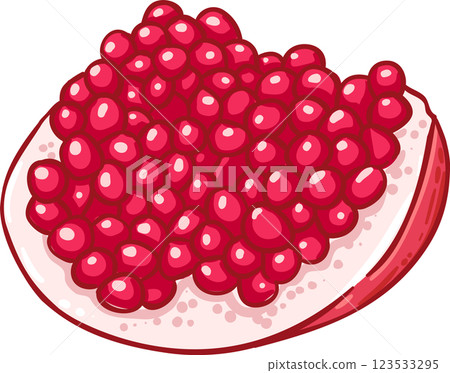 Pomegranate  Fruit  Colored Detailed Illustration 123533295
