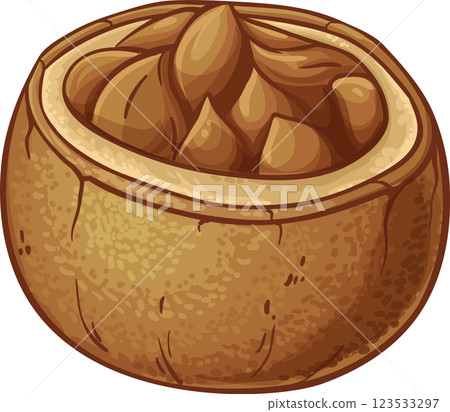 Brazil  Nuts  Colored Detailed Illustration Brazil  Nuts  Colored Detailed Illustration 123533297