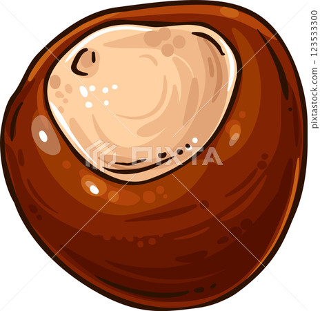 Chestnut Nut Colored Detailed Illustration 123533300