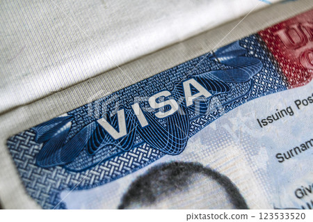 Visa USA in Foreign Passport for Tourism 123533520