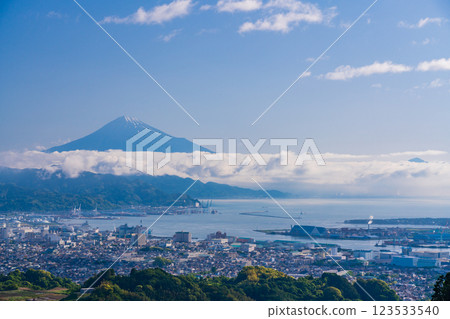 [Shizuoka Prefecture] Shimizu cityscape and Mt. Fuji seen over the tea fields of Nihon-daira 123533540