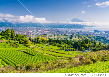 [靜岡縣] 從日本平的茶田望去的清水市容和富士山 123533541