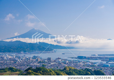 [Shizuoka Prefecture] Shimizu cityscape and Mt. Fuji seen over the tea fields of Nihon-daira 123533546