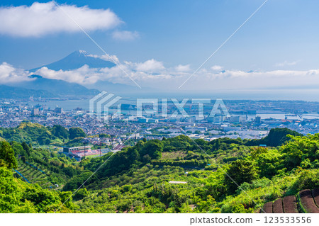 [Shizuoka Prefecture] Shimizu cityscape and Mt. Fuji seen over the tea fields of Nihon-daira 123533556