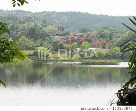 龜山湖的新綠 123533975