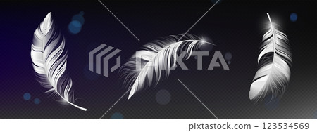 Falling 3d feather collection 123534569